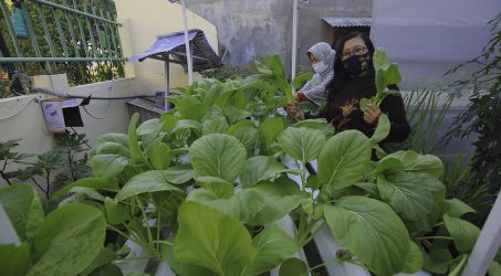 Pemkot Fasilitasi Petani Kota Jual Hasil Pertanian