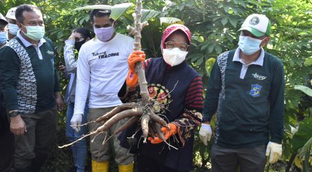 Jurus Wali Kota Risma Menghadang Resesi