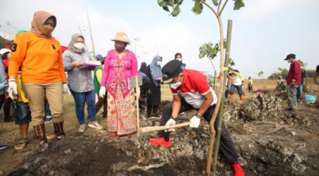 Tekan Global Warming, Cak Ji Pimpin Penanaman Pohon Kemiri Sunan di Green Belt TPA Benowo