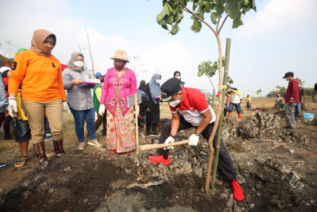 Wakil wali kota Surabaya Armudji saat melakukan penanaman pohon dikawasan TPA bung tomo