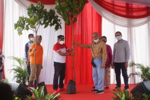 Wakil wali kota Surabaya Armudji saat menyerahkan pohon kemiri secara simbolis