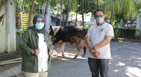 Disebar 38 Kab/Kota. PKB Jatim Berkurban 1.000 Sapi dan Kambing