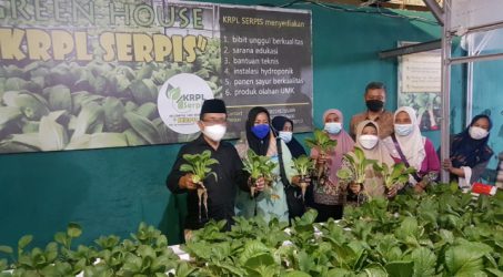 AH Thony (paling Kanan) saat meninjau produk hasil tanam hidroponik milik Kelompok Erpis dikawasan Jemursari Surabaya, Jumat (22/10) malam