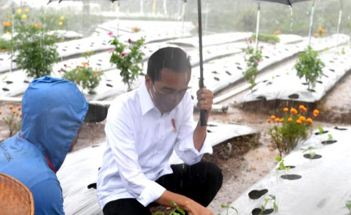 Berdialog dengan Presiden, Petani Wonosobo Ungkap Kemanfaatan Lumbung Pangan