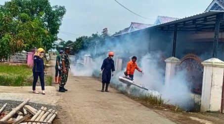 Cegah DBD Mewabah di Cikeusal Kidul, Tim Kesehatan Puskesmas Adakan Fogging dan PSN