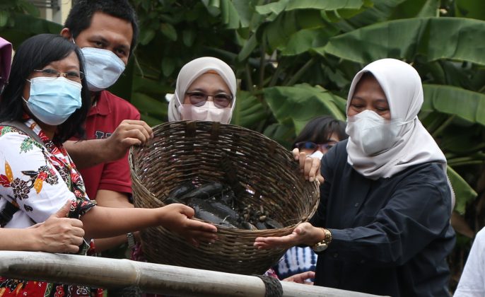 Perkuat Ketahanan Pangan, Pemkot Surabaya Dampingi Warga Manfaatkan Lahan BTKD