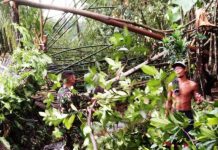 Anggota TNI bersama warga saat membersihkan ranying pohon yang menutup akses jalan