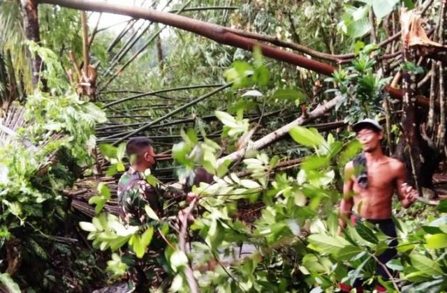 TNI Bantu Pembersihan Ranting Pohon yang Tutup Akses Jalan