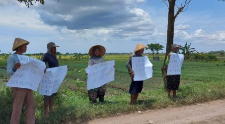 Sejumlah petani di Brebes jawa Tengah protes lantaran susah mendapatlan pupuk bersubsidi