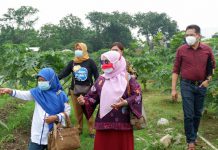 Ketua Komisi B, Luthfiyah (Berkerudung merah muda) bersama rombongan Komisi B saat mengunjungi lahan pertanian milik dinas Pertanian dan Ketahanan Pangan dikawasan Kecamatan Jambangan Surabaya pada Senin (07/03/2022)