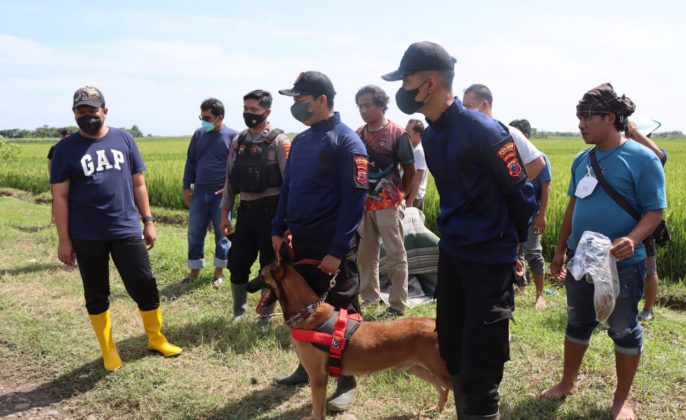 Polres Tegal Terjunkan Unit K9 saat Olah TKP Penemuan Mayat Perempuan di Areal Persawahan