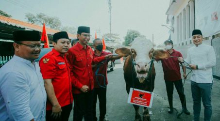 Ketua DPC PDIP Surabaya Adi Sutarwojono, Ketua Panitia Idul Adha yang dibentuk PDI Perjuangan Kota Surabaya, Abdul Ghoni dan Wali Kota Surabaya Eri Cahyadi saat menyerahkan sapi qurban