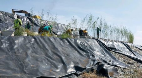 Minimalisir Bau, Pemkot Surabaya Kebut Penanaman Pohon di PLTSa Benowo