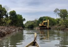 aktivitas alat berat melakukan pelebaran dan pendalaman sungai dikawasan mangrove wonorejo