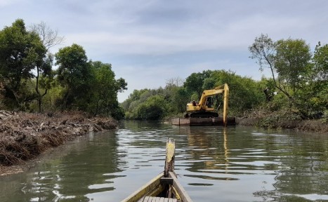 aktivitas alat berat melakukan pelebaran dan pendalaman sungai dikawasan mangrove wonorejo