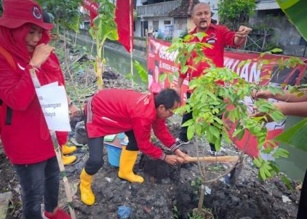 Ketua DPC PDIP Surabaya saat melakukan penanaman pohon bersama para kader di bantaran sungai di Simomulyo Surabaya Sabtu (28/01/2023)
