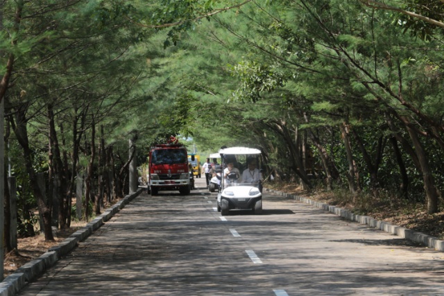 Menengok kesiapan kebun raya mangrove pertama di Indonesia yang bakal diresmikan Megawati Soekarnoputri