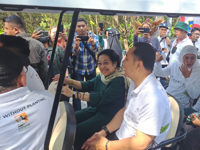 Megawati sebut kebun raya mangrove bisa minimalisasi efek tsunami hingga mendinginkan area