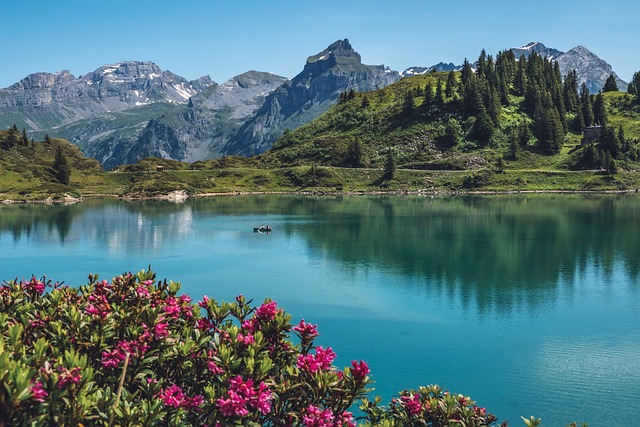 Swiss, Negeri Pegunungan yang Menakjubkan
