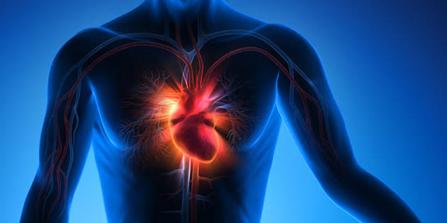 Mitos dan Fakta Seputar Penyakit Jantung, Memahami Risiko dan Pencegahan