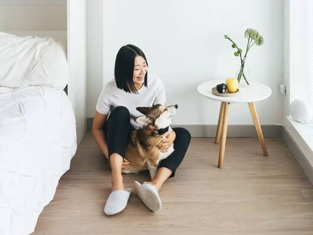 Menemukan Kebahagiaan dalam Kesederhanaan, Apa Itu Gaya Hidup Minimalis?