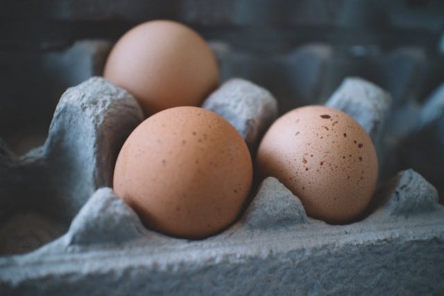 7 Tips Jitu Menjaga Kesegaran Telur dan Mencegah Pertumbuhan Bakteri di Rumah