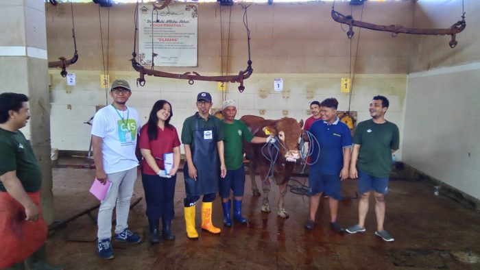 Wujud Tanggung Jawab Sosial, PDAM Surya Sembada Potong 13 Ekor Sapi di Hari Raya Idul Adha 