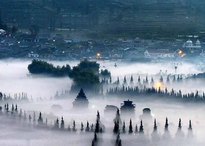 Bediding Vs Embun Beku, Memahami Perbedaan Fenomena Udara Dingin