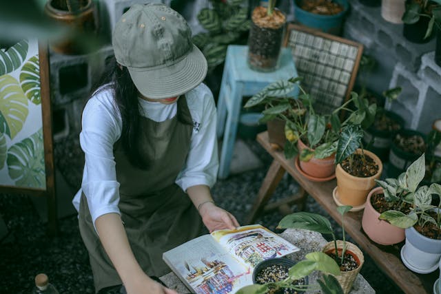 5 Cara Membuat Bonsai Indah untuk Pemula