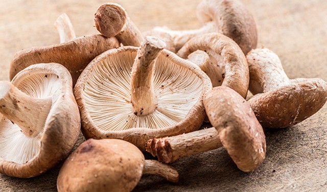 5 Fakta Unik Jamur Shiitake, Mulai dari Asal Usul hingga Budidayanya yang Unik