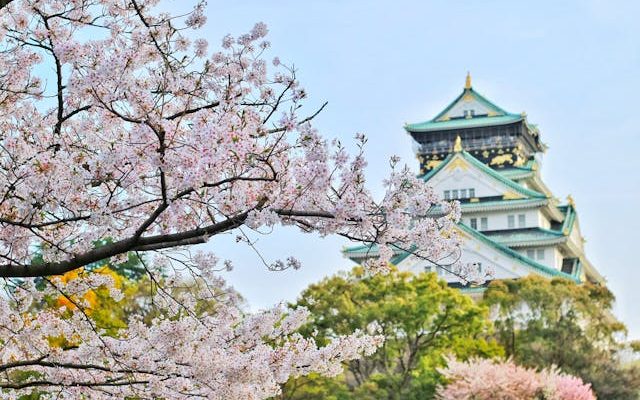 5 Hal Penting yang Perlu Dipersiapkan Sebelum Mulai Belajar Bahasa Jepang