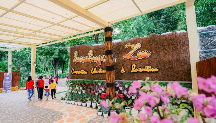 Sambut Libur Lebaran, KBS Siapkan Pertunjukan Menarik dan Edukasi Satwa 