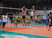 Lavani Menang Lawan Samator 3-0 di GOR Tri Dharma Gresik