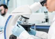 Bagaimana HMPV Menular? Ketahui Cara Penyebaran Virus Mirip Flu Ini