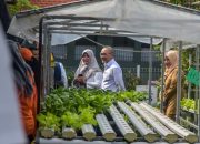 Menko Pangan Apresiasi Konsep Urban Farming di Surabaya