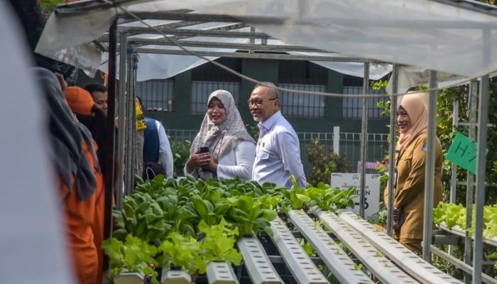 Menko Pangan Apresiasi Konsep Urban Farming di Surabaya