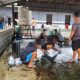 para pemuda saat membersihkan liponsos sebagai efek jera lantaran melanggar trantibum dengan pesta miras