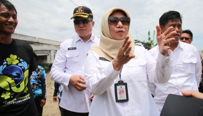 Area Persawahan di Surabaya Andalkan Air Limbah Rumah Tangga