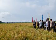 10 Persen Hasil Produksi Lahan Pertanian Di Surabaya Bersumber dari Lahan Milik TNI AL