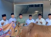 Serahkan Hewan Kurban ke Tiga Organisasi Islam, PKS Jatim: Bahagianya Berkurban, Eratkan Silaturahim Kuatkan Sinergi
