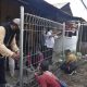 Satpol PP, Penertiban Bangunan,