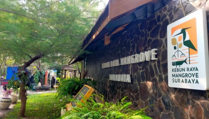 Pemkot Surabaya Kembangkan Fungsi Ekosistem Kebun Raya Mangrove