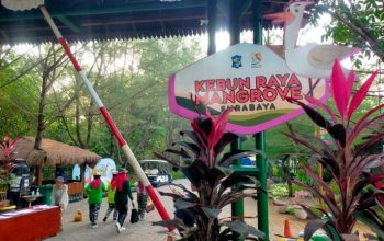 dok. Kebun Raya Mangrove Surabaya