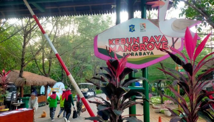 Kebun Raya Mangrove Surabaya Rayakan HUT ke-2 Tahun