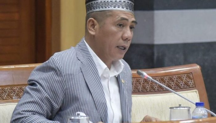DPR RI Desak Komdigi Tindak Tegas Game Rolblox