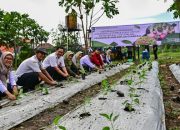 Pemkot Surabaya Gerakkan Tanam Serentak Cabai dan Bawang Antisipasi Lonjakan Harga di Saat Nataru