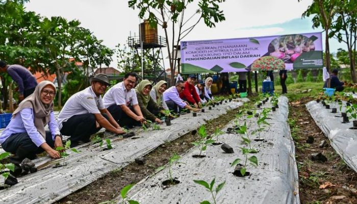Pemkot Surabaya Gerakkan Tanam Serentak Cabai dan Bawang Antisipasi Lonjakan Harga di Saat Nataru