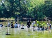 Aksi Wahana Visi Indonesia (WVI) menanam 1000 bibit mangrove