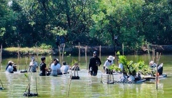 Pemkot Surabaya–WVI Tanam 1.000 Bibit Mangrove di Wonorejo