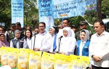 Menteri Pertanian (Mentan) saat gerakan pangan murah serentak